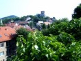 /album/mikulov/s4301757-jpg/